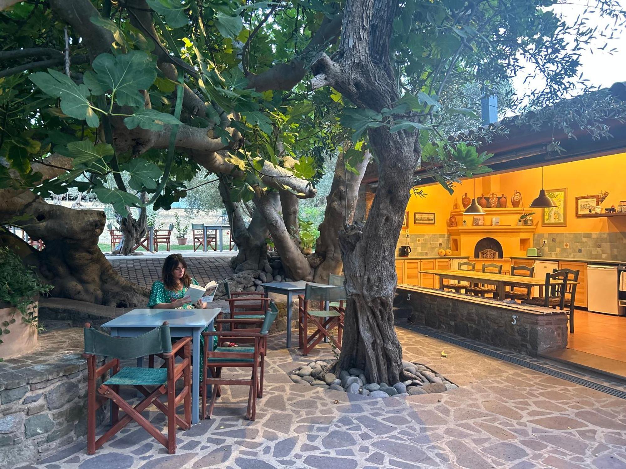 Villa Daphnis & Chloe Pyrgi Thermis Extérieur photo