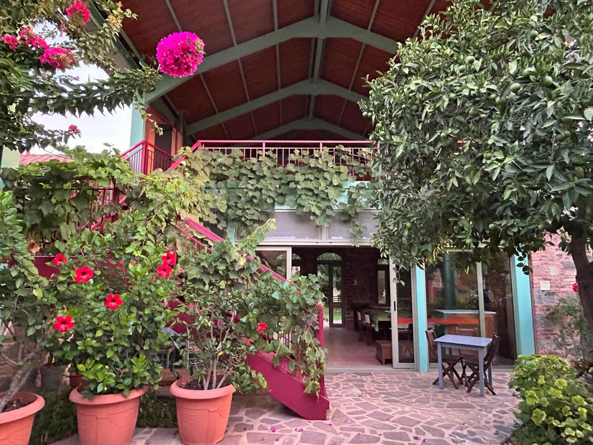 Villa Daphnis & Chloe Pyrgi Thermis Extérieur photo